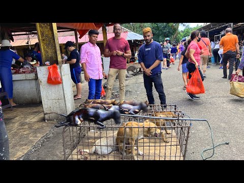 നല്ല വറുത്തരച്ച പട്ടി കറി | Dog Meat Gravy | Cooking In Indonesia