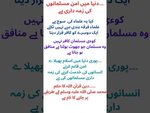 دنیا میں امن مسلمانوں کی زمہ داری ہے امن طاقت سے آتا ہے معلم ممتاز خان