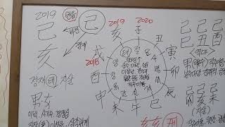 기해년 운세 (기 일간)