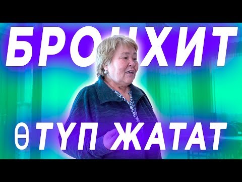 Video: Иттердеги бронхитти кандайча дарыласа болот