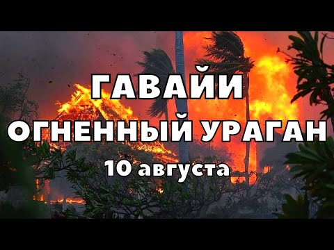 Видео: Август на Гавайях: гид по погоде и событиям