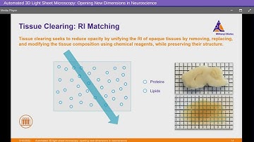 Automated 3D Light Sheet Microscopy: Opening New Dimensions in Neuroscience