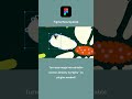 Turn any image into a vector in Figma Design and Draw