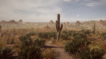 Mexican Desert - Release 2.0 (Unity Package)