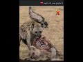 حالات واتس ابراهيم الباي كنا اصحاب بس ما كناش في ظهر بعض اخوات