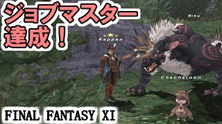 FF11】ジョブマスター達成！赤魔道士SU5！ついにこの日が来た！ - YouTube