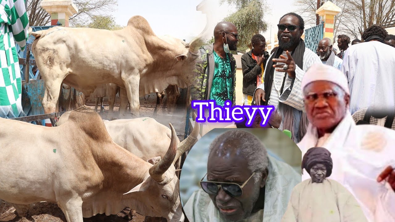 10ème Jour Ramadan Déballé Adiya Wakeur Serigne Mor Talla Fall Cherif assane fall Kaolack 