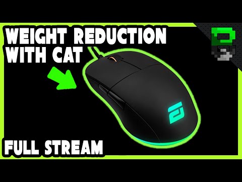 Endgame Gear Xm1 Rgb Weight Reduction With Cat Live Stream Beardedbob