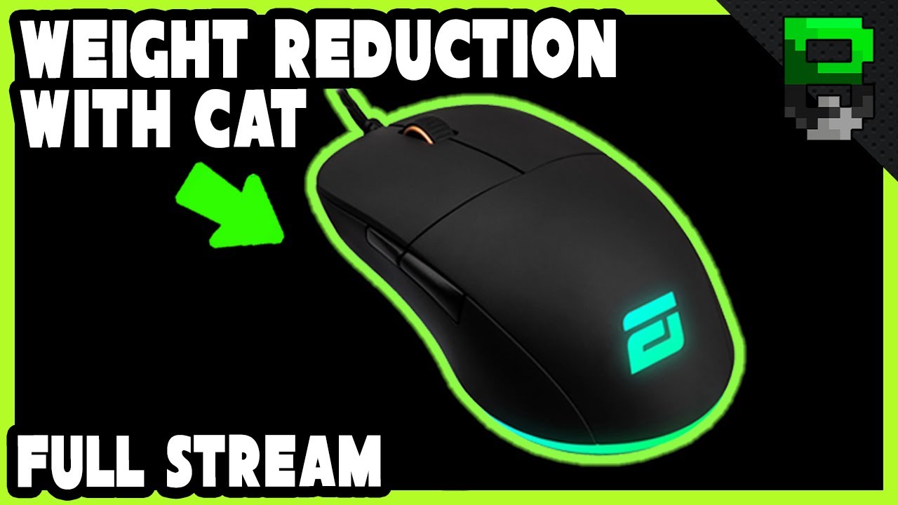 Endgame Gear Xm1 Rgb Weight Reduction With Cat Live Stream Beardedbob