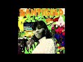 Santigold Run The Road