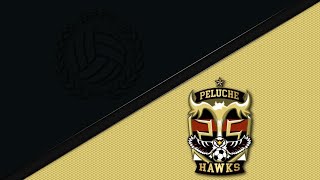Bumpy Pitch FC Mixed vs. Peluche Hawks Mixed - Game Highlights