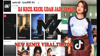DJ KECIL KECIL UDAH JADI JAMUR JANDA JANDA DIBAWAH UMUR / JJ JAMUR VIRAL TIKTOK 2023