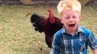 Funny Chickens Chasing... People Hilarious Funniest Animals Videos Jun 2021