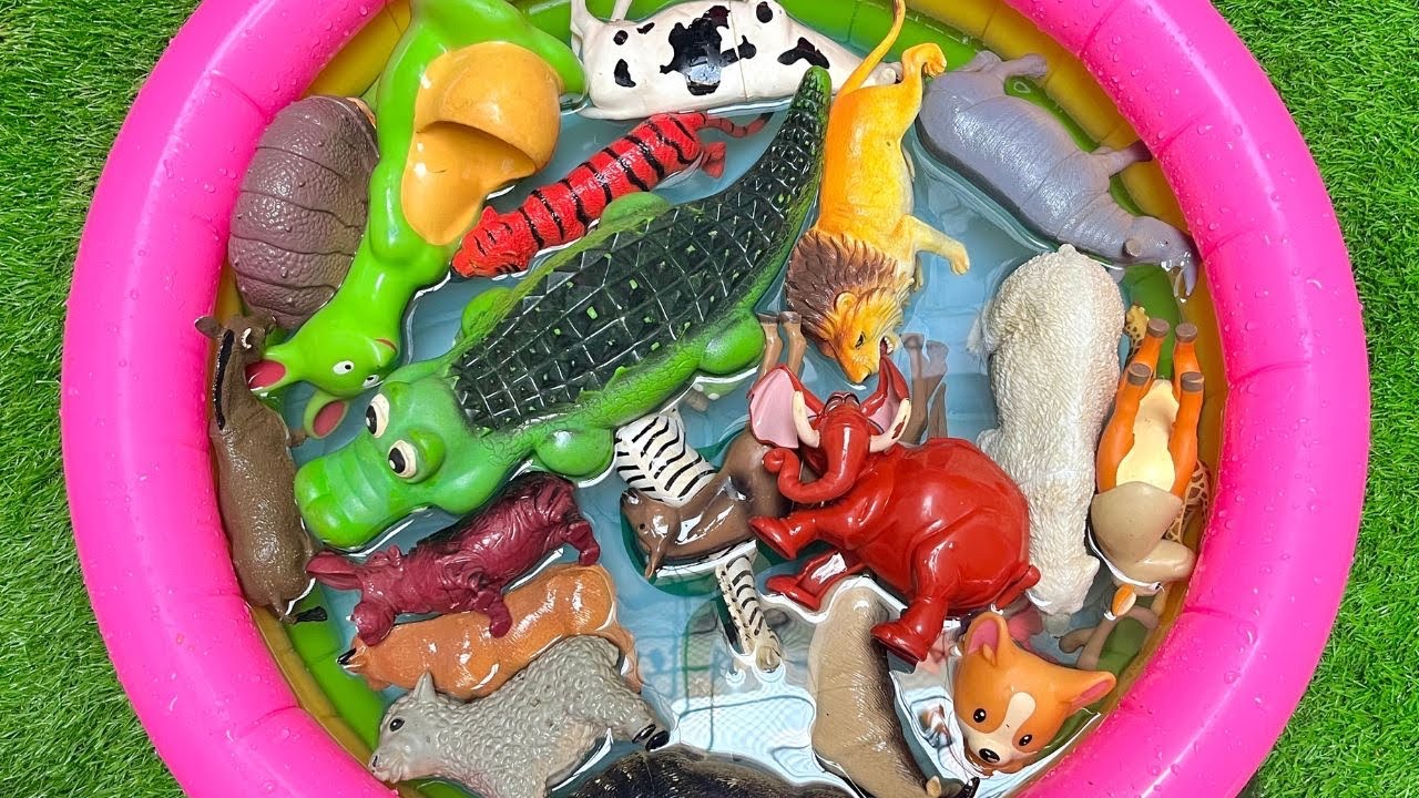 zoo animals & farm friends learning time | zoo animals visiting