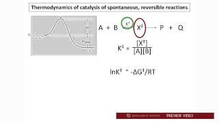 Biochemistry Enzymatic Catalysis tutorial