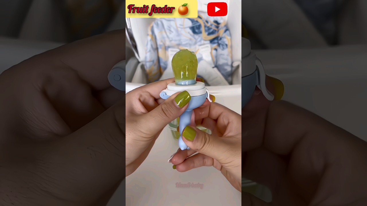 Fruit feeder pacifier 🍼 