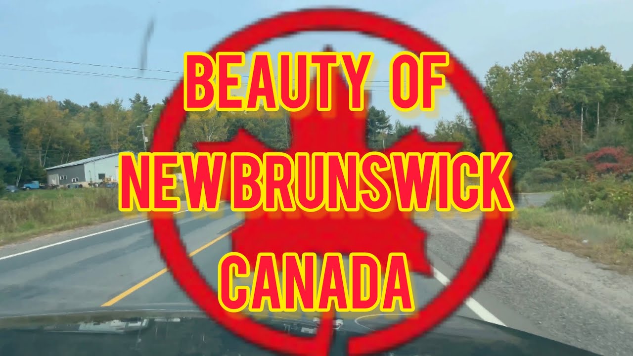 NEW BRUNSWICK TODAY YOUTUBE visual data 7