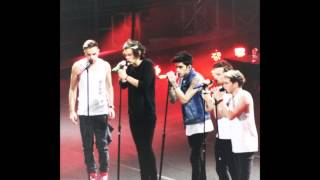 AUDIO | One Direction - Moments - WWA Tour- Santiago, Chile - April 30