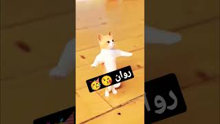 أغنية اسم روان 💃💃الحلوة روان روان الزينة روان روان💃🥳🎆🎉