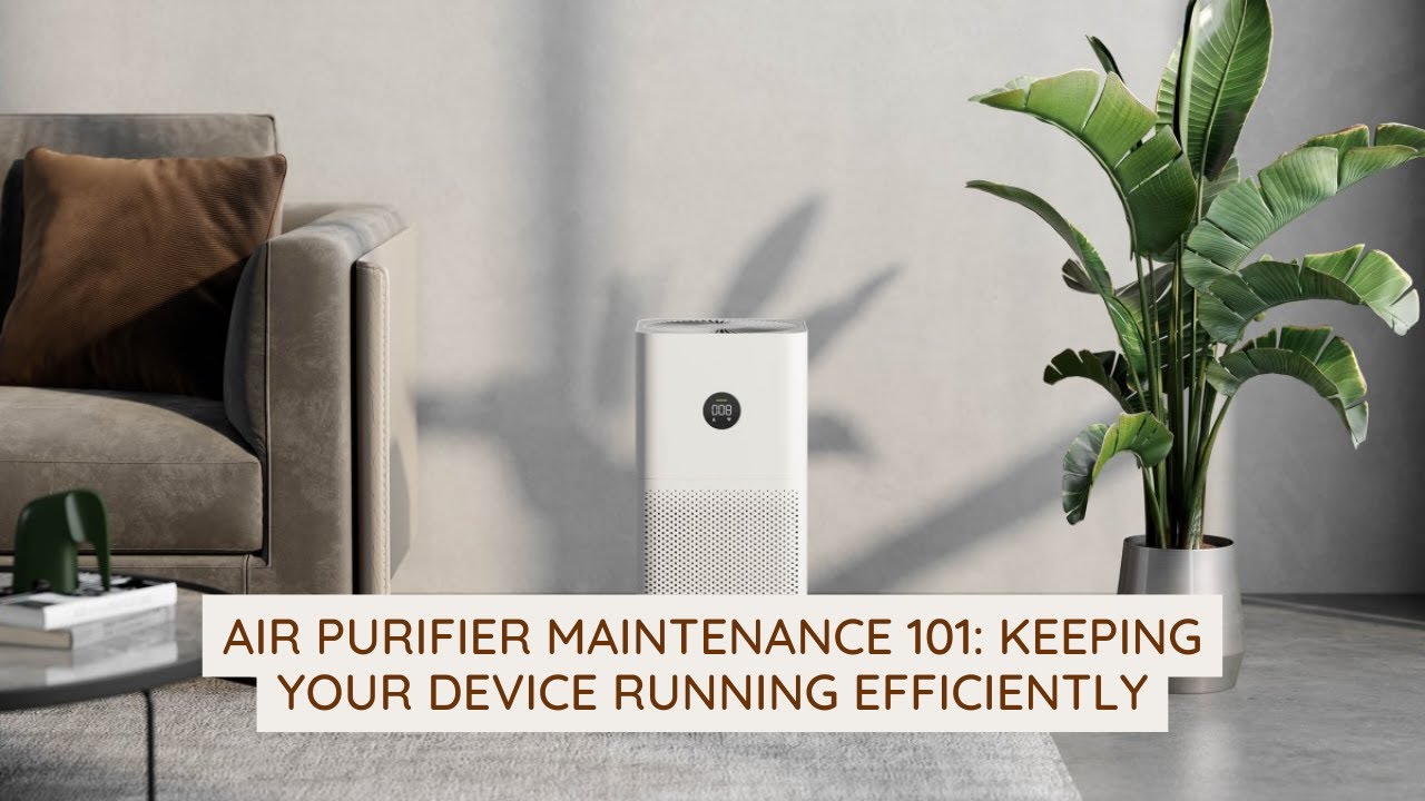 Air Purifier Maintenance 101 Keeping Your Device Running Efficiently 