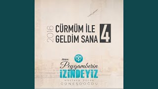 Cürmüm İle Geldim Sana (Arapça) — Mustafa Özcan Güneşdoğdu kapak görseli