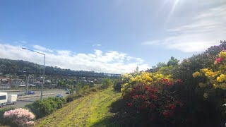 Places I Never Stop To Explore - South Dunedin Entrance Has A Scenic View