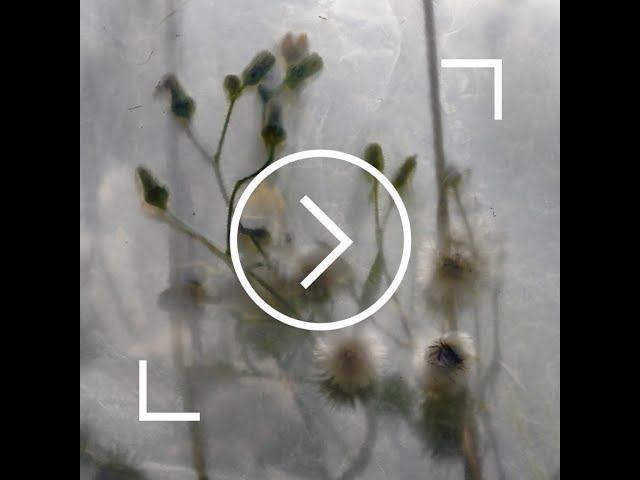 Watch Une photographie, des regards #15 - Matthieu Gafsou on YouTube.