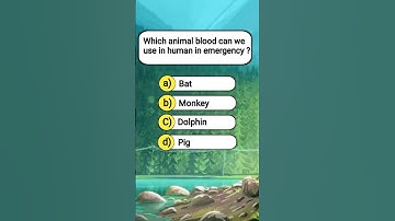 Test your general knowledge #quiz #generalknowledge #gk #gkquiz #generalknowledgequiz #trivia