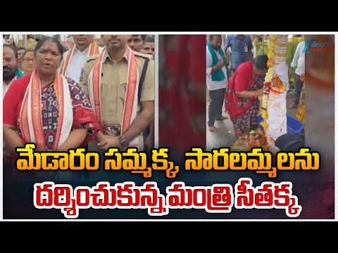 Minister Seethaka Visit Medaram | మేడారం సమ్మక్క, సారలమ్మలను దర్శించుకున్న మంత్రి సీతక్క | ZEE - ZEE24TELUGUNEWS