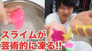 スライムを一瞬で凍らせる液体にぶち込んだら芸術的になった！！