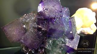 Geometra Concept - Natural & Space Design