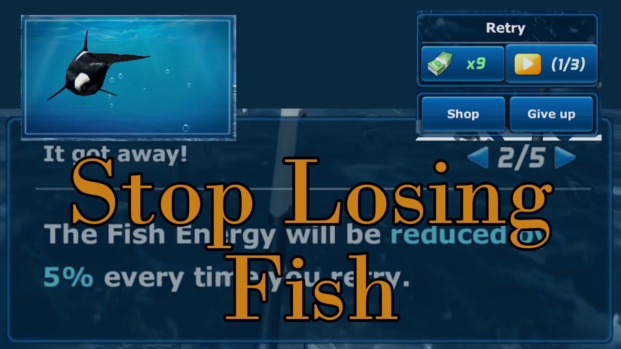 Ace Fishing: Level This Up to Stop Losing Fish 