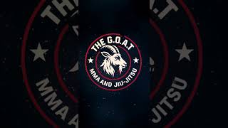 Logo Animation - Glitch