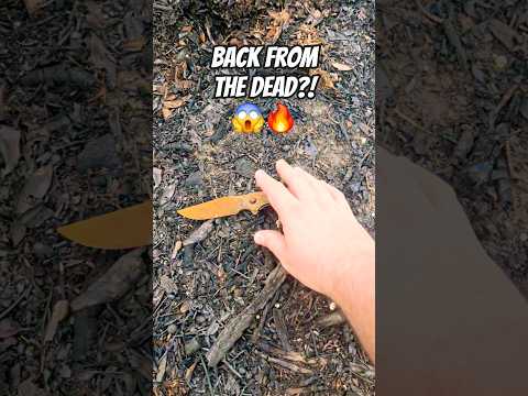 $8 Walmart Knife Vs. One Gallon Of Diesel    