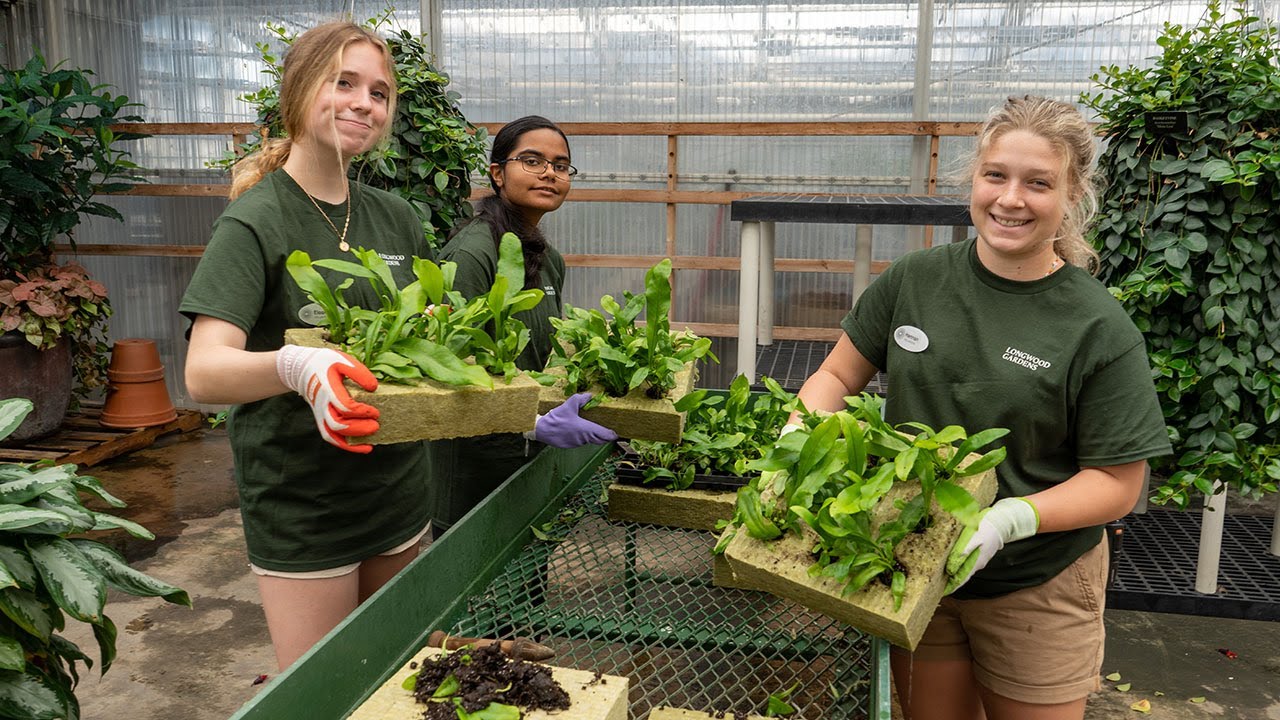 Longwood Gardens Teen Volunteer Program