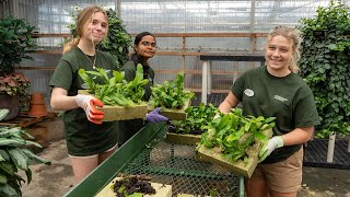 Longwood Gardens Teen Volunteer Program