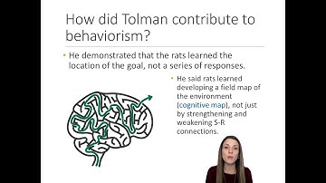 History of Psychology - Lecture 11 - Part 2 - Edward Tolman