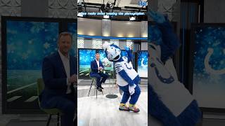 The Bond Between Blue And The Photographer