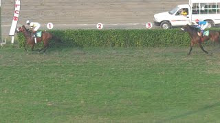 5Th Race Salah-Ud-Din Ayubi Cup Distance 1400 Meters Winner Tufaan Stan Horse Racing