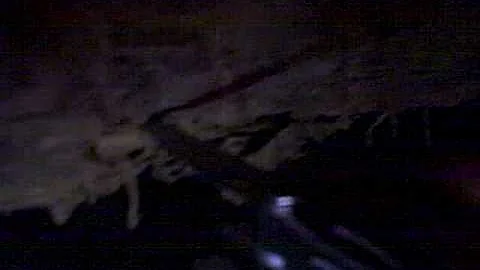 Termites Cause Significant Structural Damage to Floor By Nashville Home Inspection