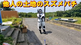他人の土地のスズメバチ【限界ニュータウン開拓記6】