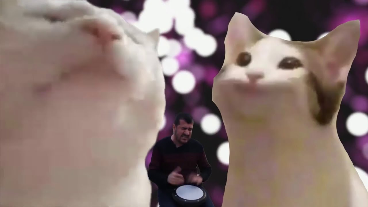 Pop Cat VS Vibing Cat 🤜🏻🤛🏻