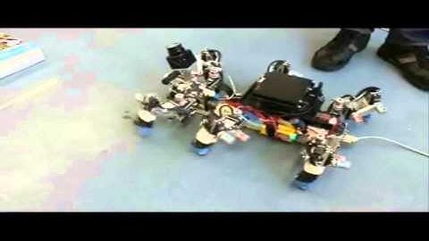 Hexapod robot AMOS II: Adaptable locomotion during leg damage
