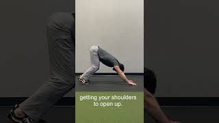 Daily Shoulder Opener Stretch