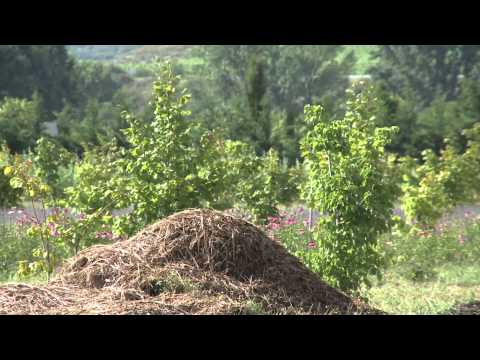AGRICULTURA ECOLÓGICA