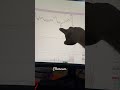 #liquidity #cryptotrading #cryptocurrencytrading #ethereumtrading #ethereum