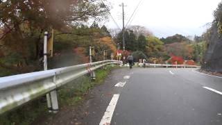 清和の森サイクリング2014