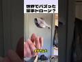 軍事用ドローン