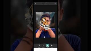 Tiger face photo editing video screenshot 2