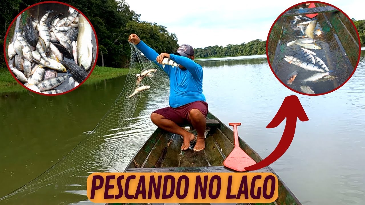 PESCANDO PEIXE NO LAGO - PIAU CARI ARUANÃ PIRANHA PACU MANDI